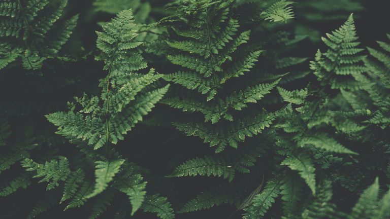 Green ist unser New Normal