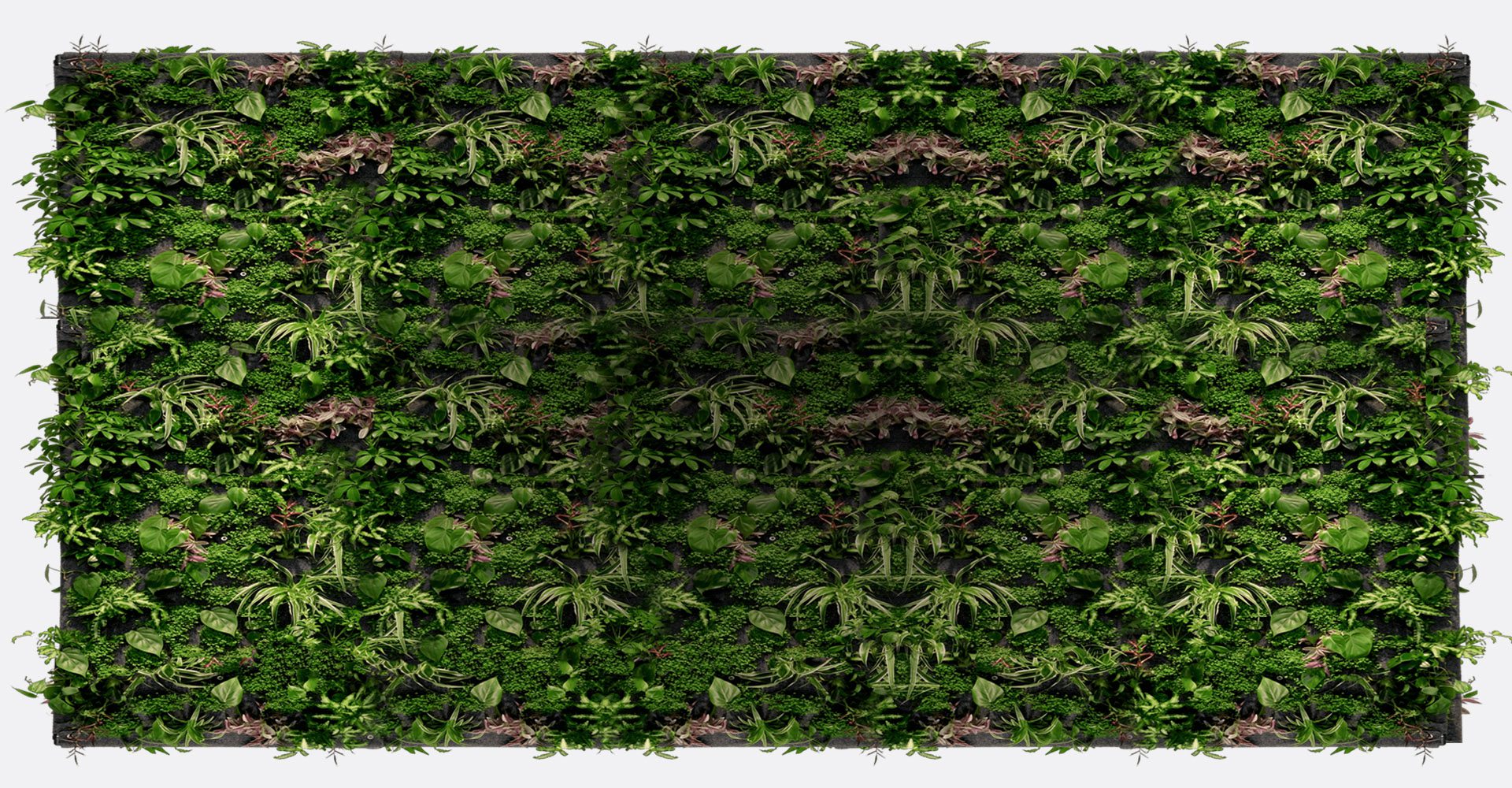 kontaktfeld_hintergrund_v3