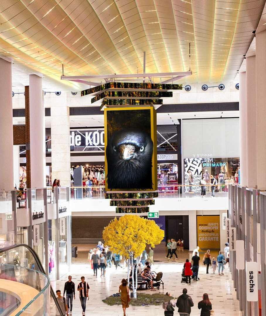 digitaler-3d-content