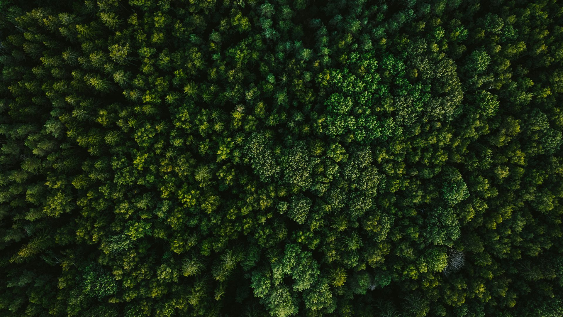 hero-blog_co2-bilanliert_image