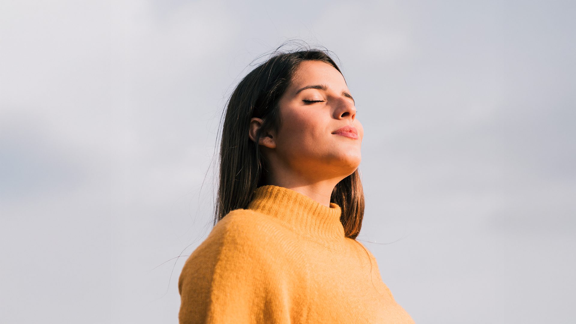 hero-blog_the-pure_image