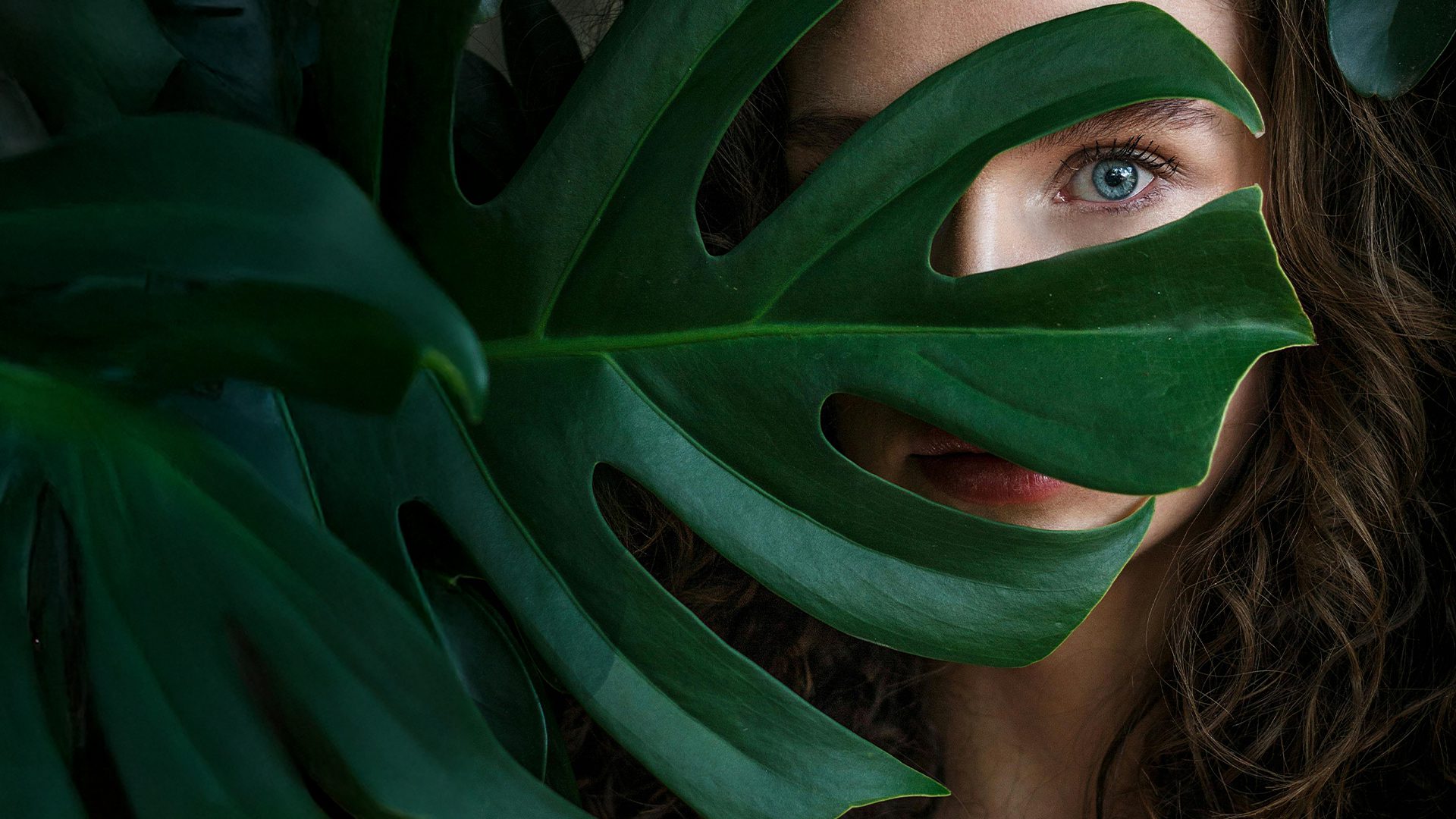 image_environment_hero-blog