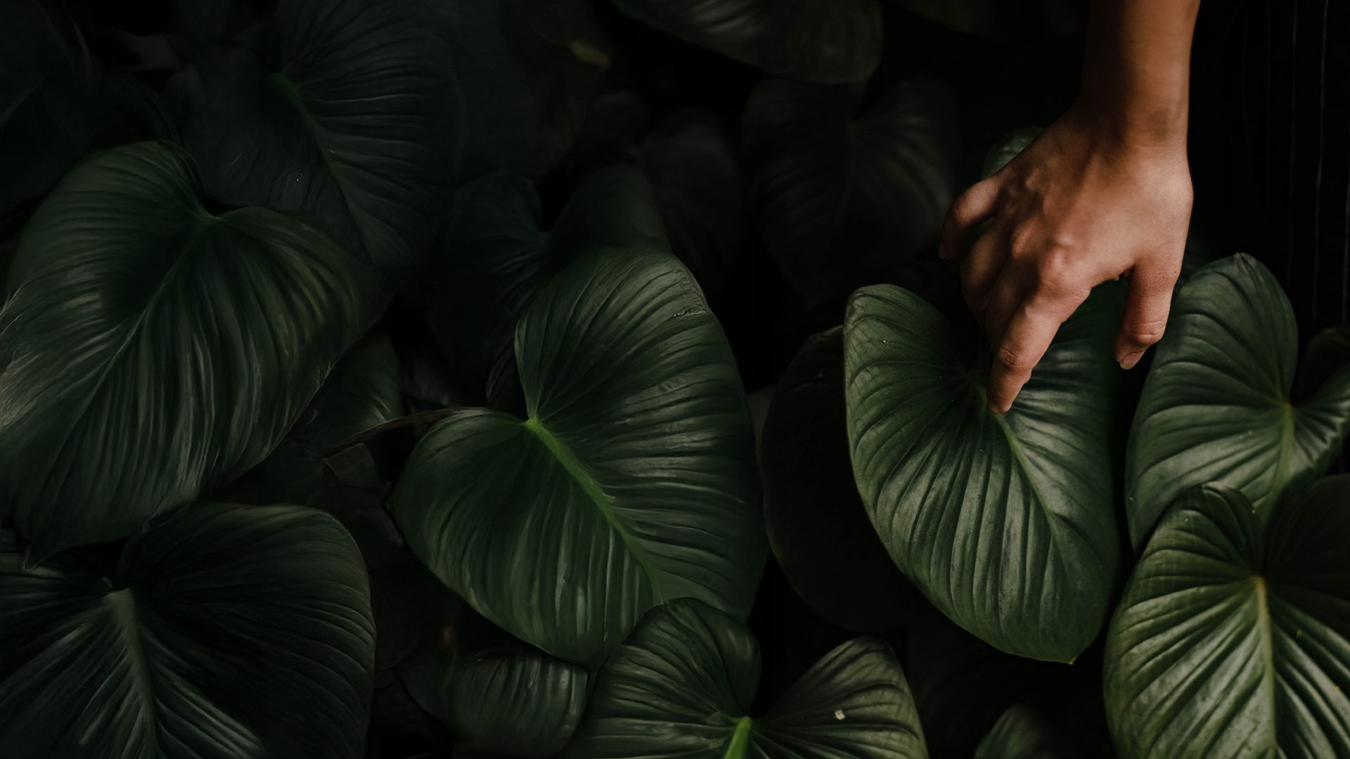 image_hero-blog_background